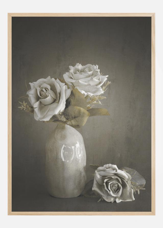 Softened Poster
