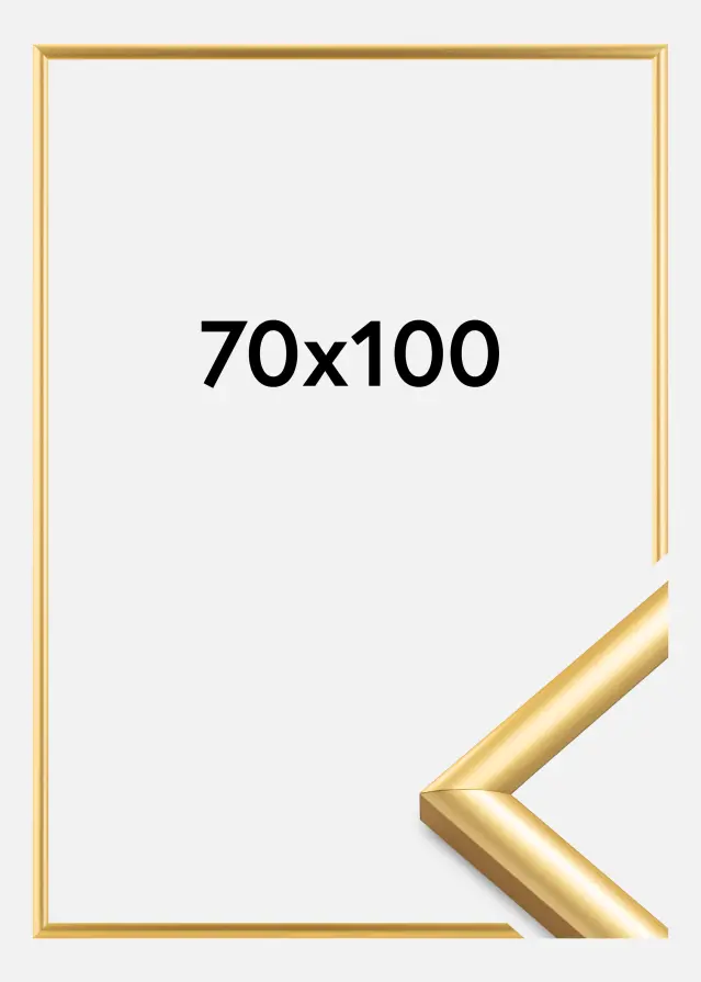 Ram Trendstyle Guld 70x100 cm