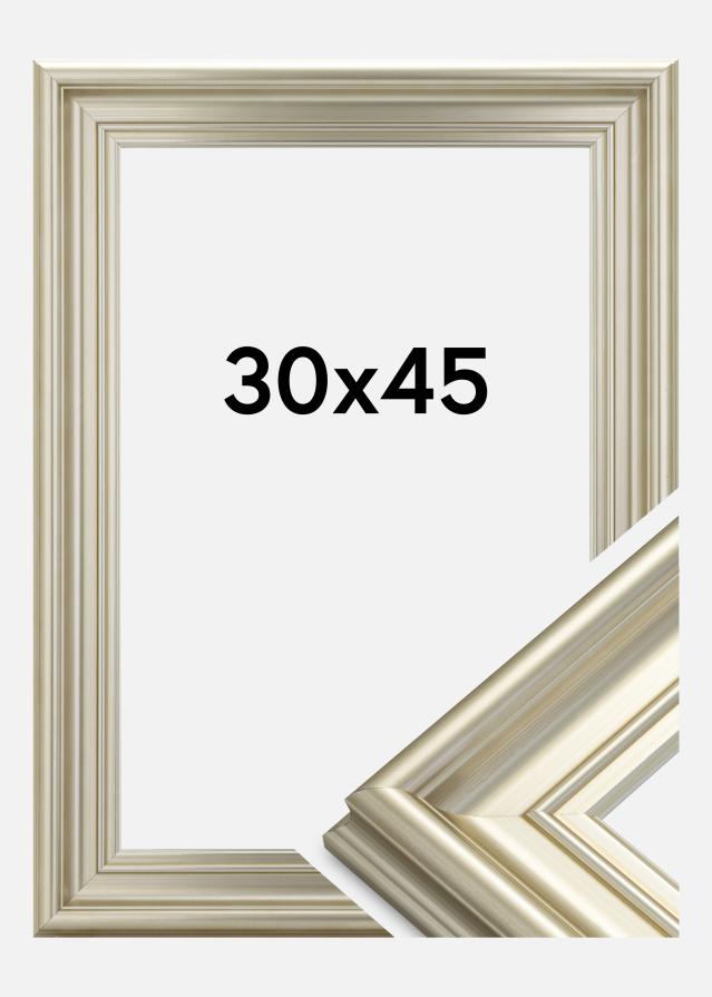 Ram Mora Premium Silver 30x45 cm