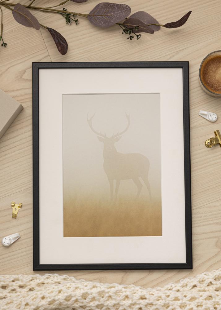 Ram Kaspar Akrylglas Svart 25x70 cm