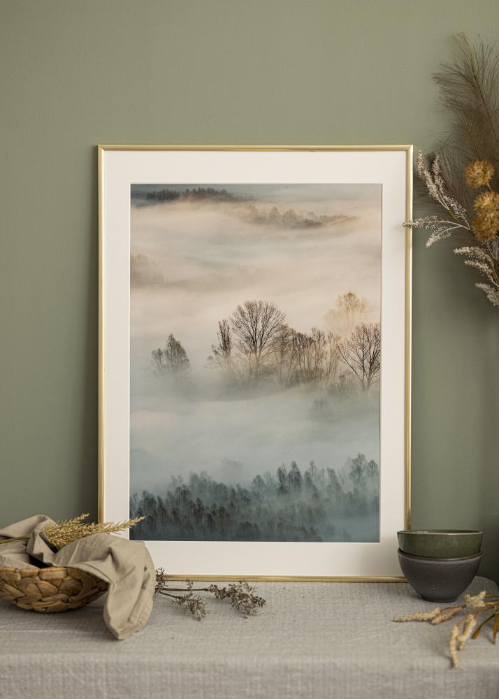 Ram New Lifestyle Guld 29,7x42 cm (A3)