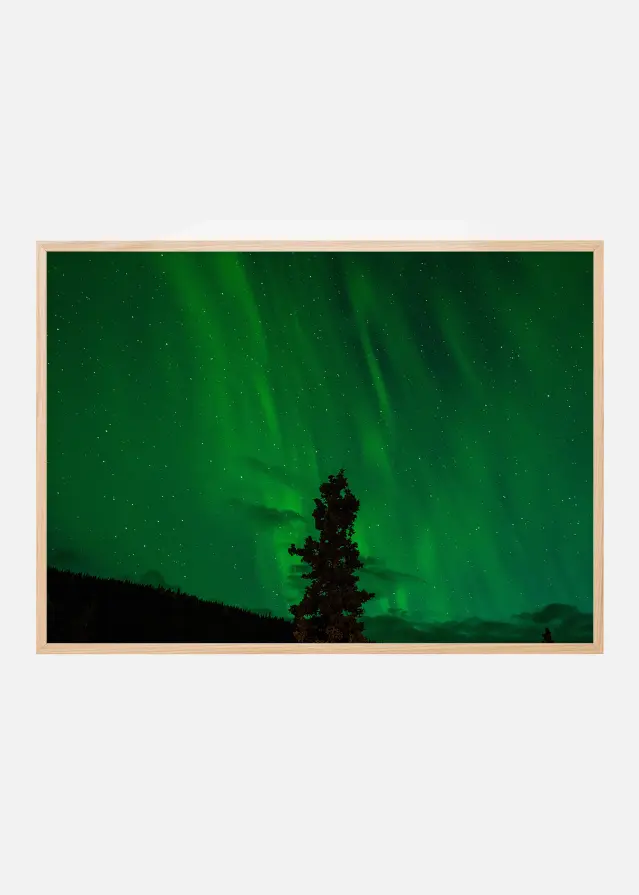 Norrsken Poster