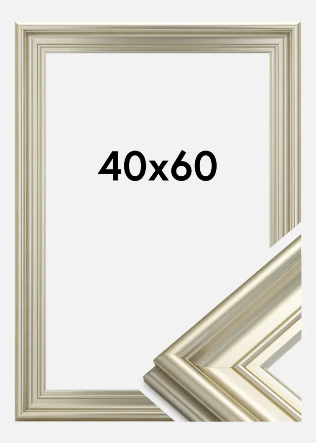 Ram Mora Premium Silver 40x60 cm