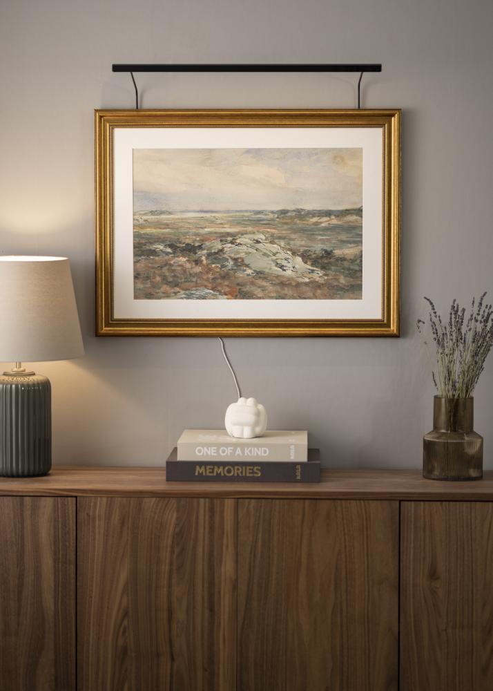 BLP 117 tavelbelysning 65 cm - Svart