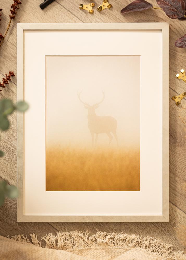 Ram Ares Akrylglas Silver 20x30 cm