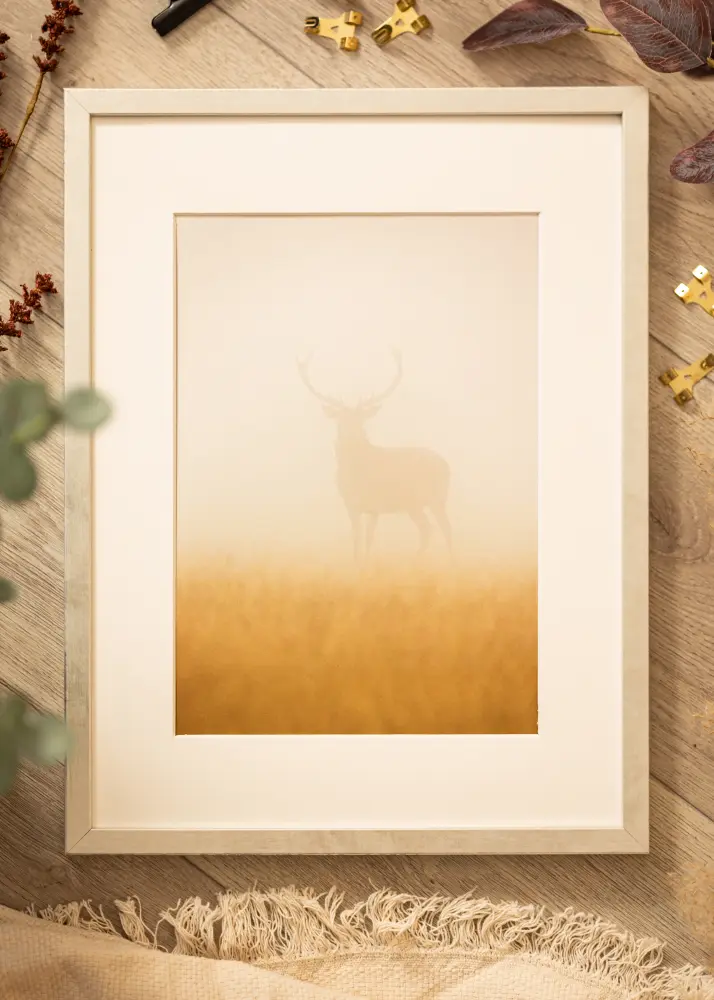 Ram Ares Akrylglas Silver 21x29,7 cm (A4)