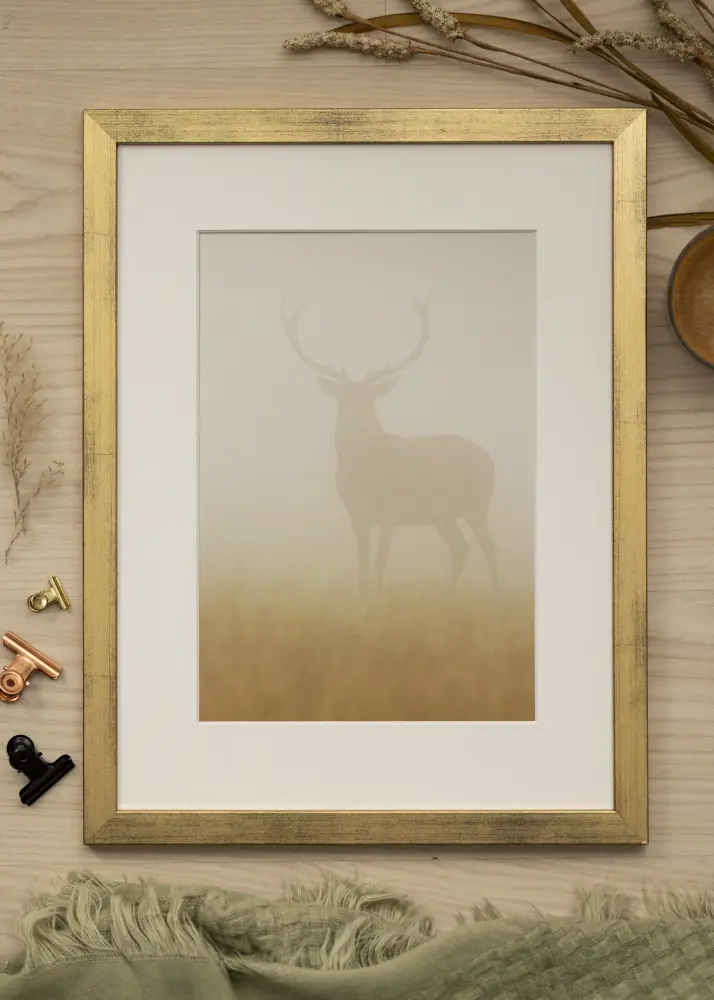 Ram Stilren Akrylglas Guld 21x29,7 cm (A4)