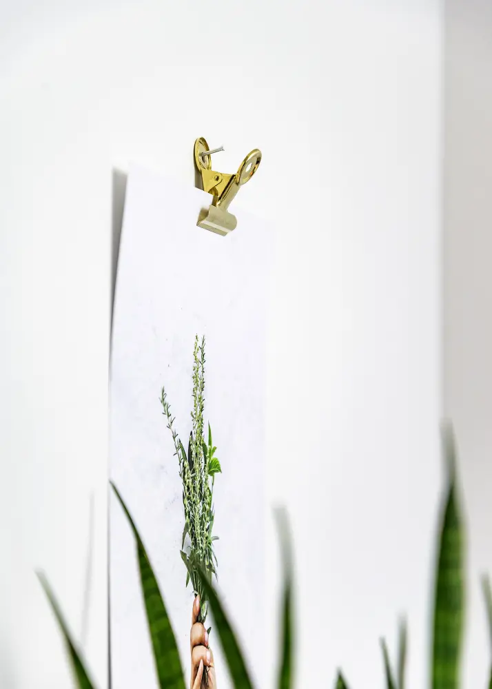 KAILA Poster Clip Gold 20 mm - 4-p