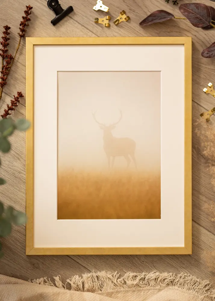 Ram Ares Akrylglas Guld 42x59,4 cm (A2)