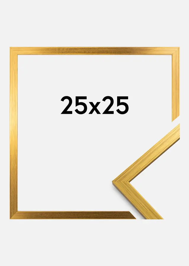 Fotoram Guld 2A 25x25 cm