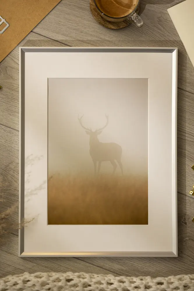 Ram Desire Silver 30x40 cm - Passepartout Vit 21x29,7 cm (A4)