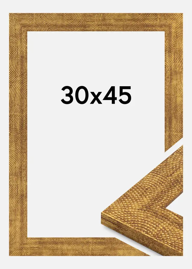 Ram Linea Akrylglas Guld 30x45 cm