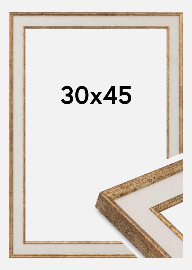 Ram Dolly Akrylglas Guld 30x45 cm