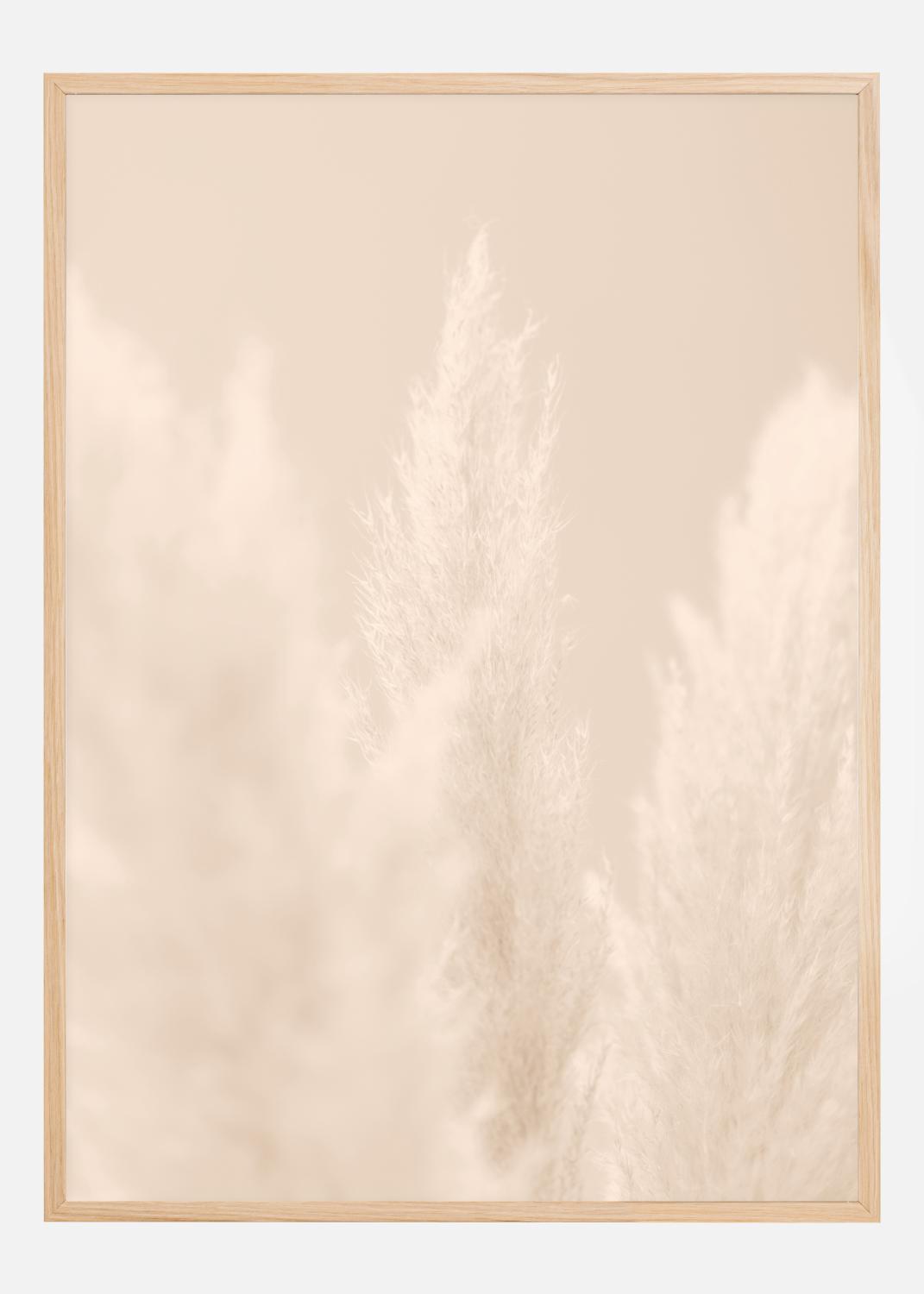 Product Image for Pampas Grass II Poster (70x100 cm)