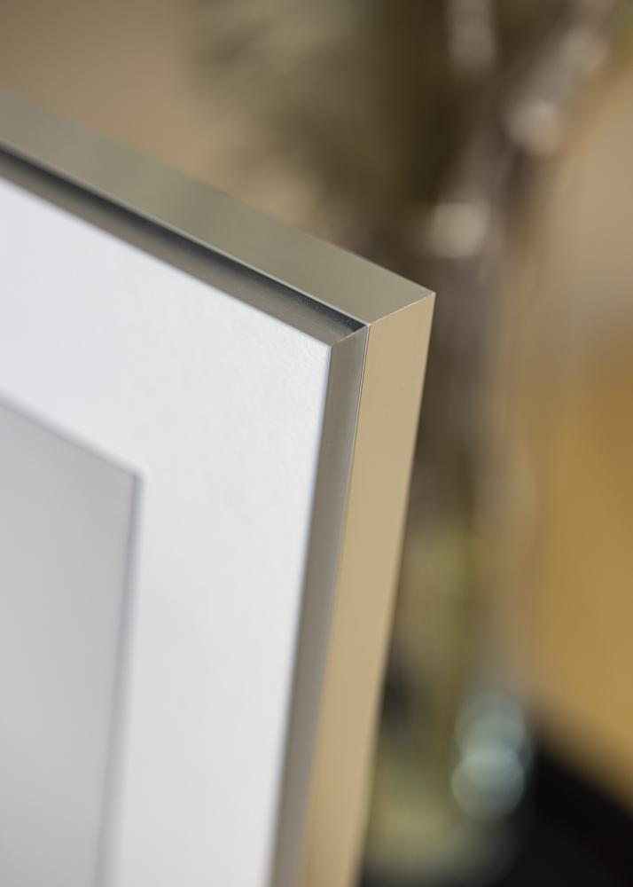 Ram Poster Frame Aluminum Silver 70x100 cm - Passepartout Vit 60x90 cm