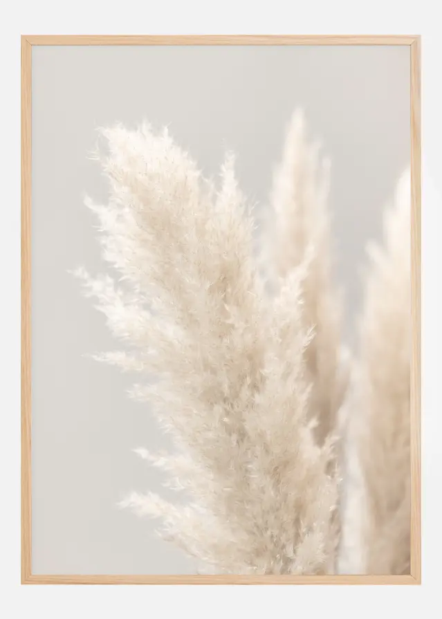 Pampas Grass IIII Poster