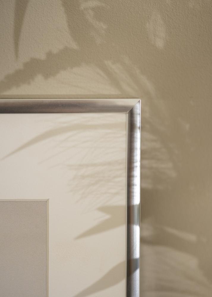 Ram Poster Frame Aluminum Silver 70x100 cm - Passepartout Vit 60x90 cm