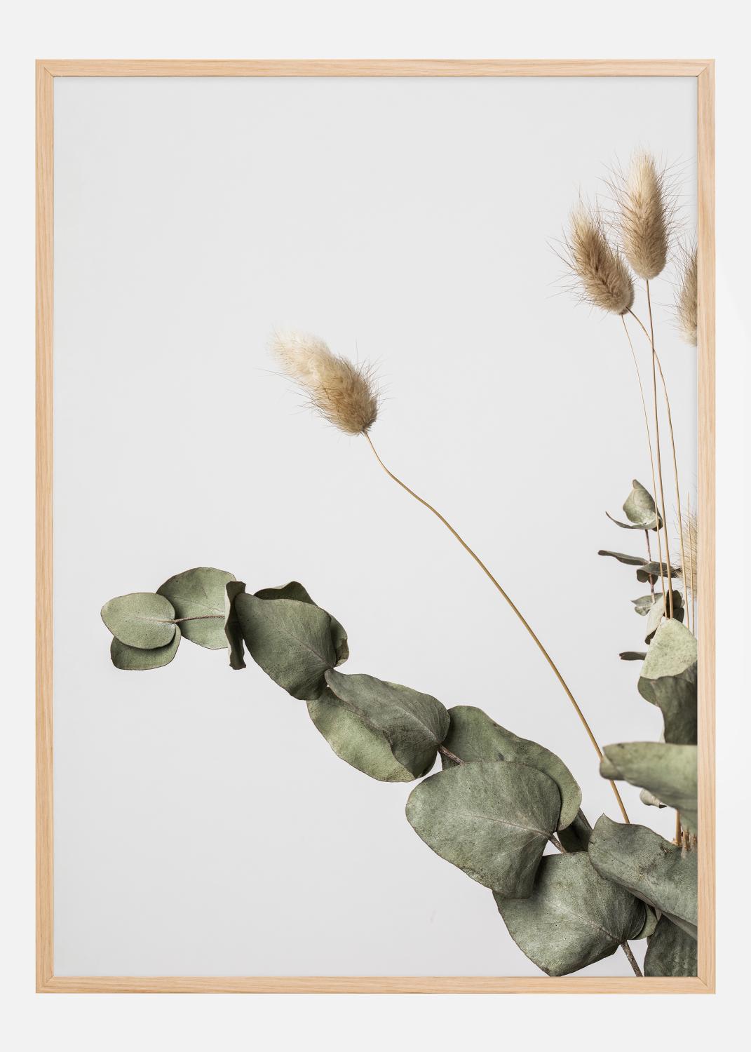 Dried 002 Poster (50x70 cm)
