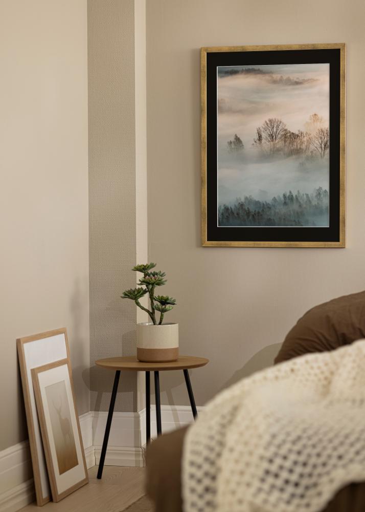 Ram Stilren Guld 30x40 cm - Passepartout Svart 21x29,7 cm (A4)