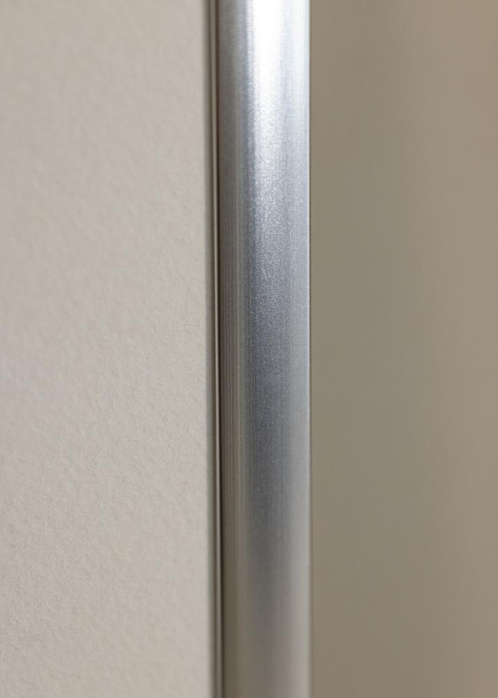 Ram Poster Frame Aluminum Silver 70x100 cm - Passepartout Vit 60x90 cm