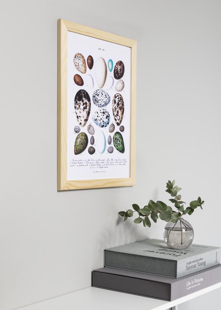 Ram Trendline Nature 80x80 cm - Passepartout Svart 70x70 cm