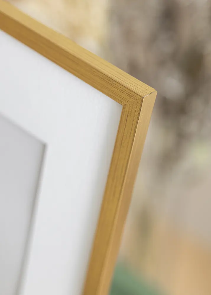 Fotoram Guld 2A 25x25 cm