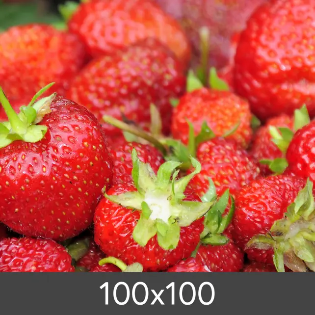 Förstoring Standard Photo Glossy 290 g