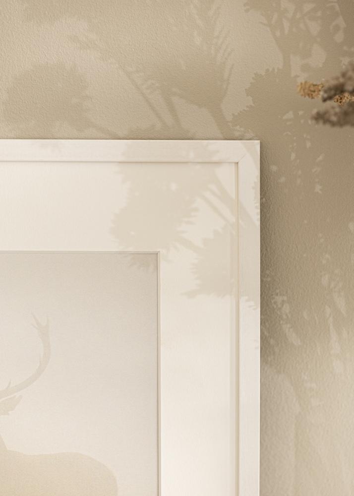 Ram Edsbyn Akrylglas Vit 38x52 cm