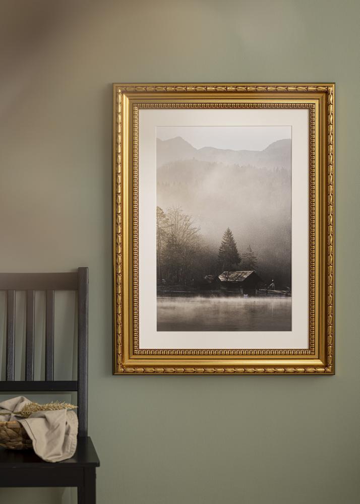 Ram Birka Premium Guld 70x70 cm