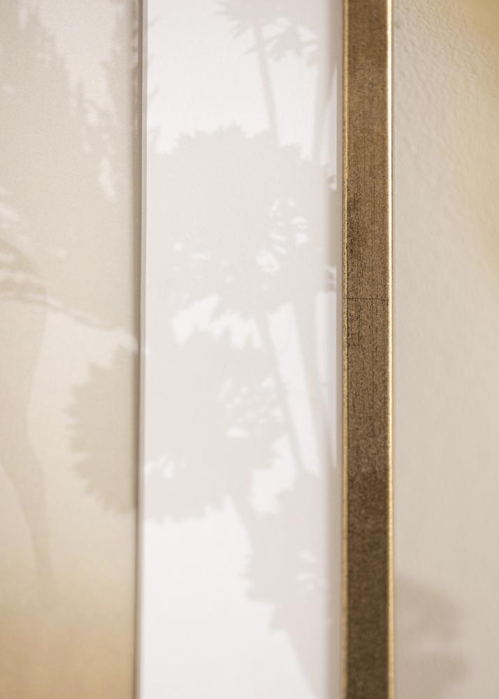 Ram Galant Akrylglas Guld 50x70 cm