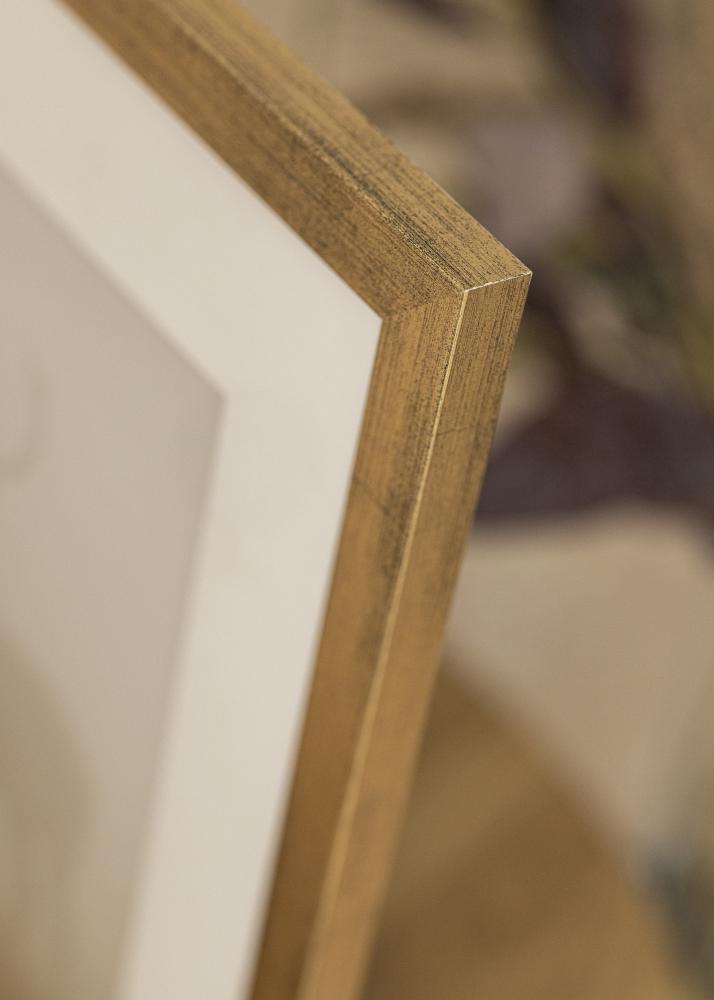 Ram Stilren Akrylglas Guld 50x70 cm