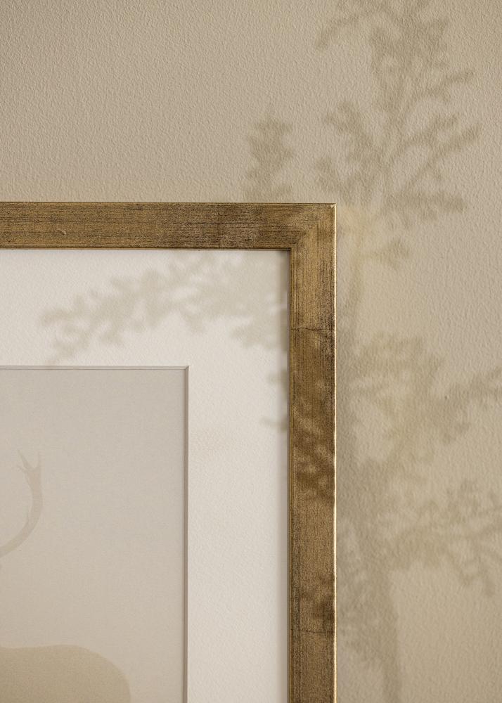 Ram Stilren Akrylglas Guld 50x70 cm