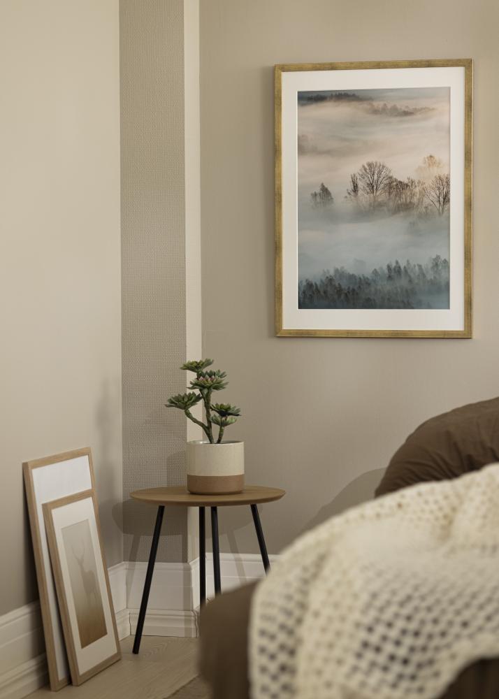 Ram Stilren Akrylglas Guld 50x70 cm