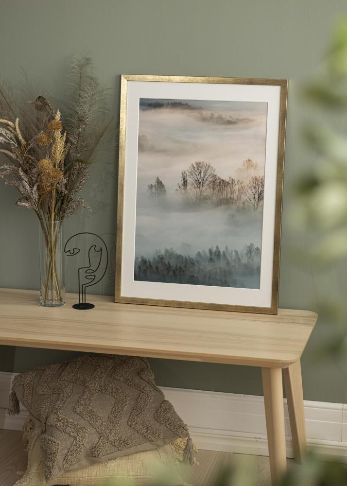 Ram Stilren Akrylglas Guld 50x70 cm