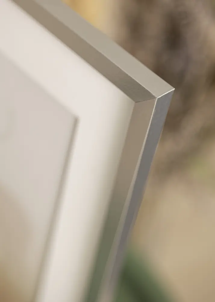 Ram Trendy Silver 50x70 cm