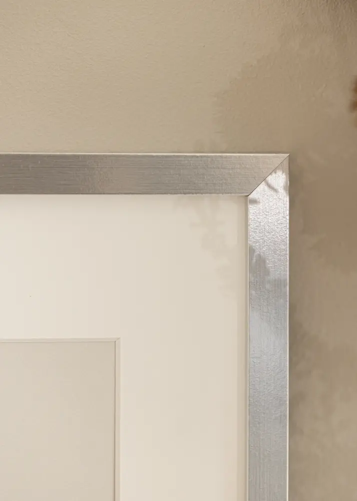 Ram Trendy Silver 50x70 cm