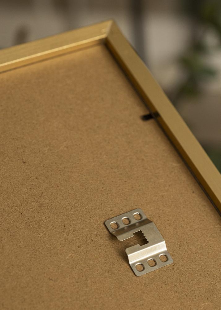 Ram Selection Akrylglas Guld 30x40 cm