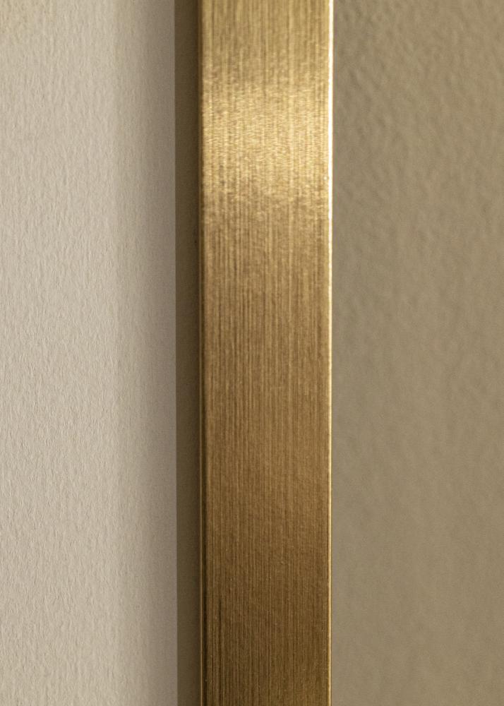 Ram Selection Akrylglas Guld 30x40 cm