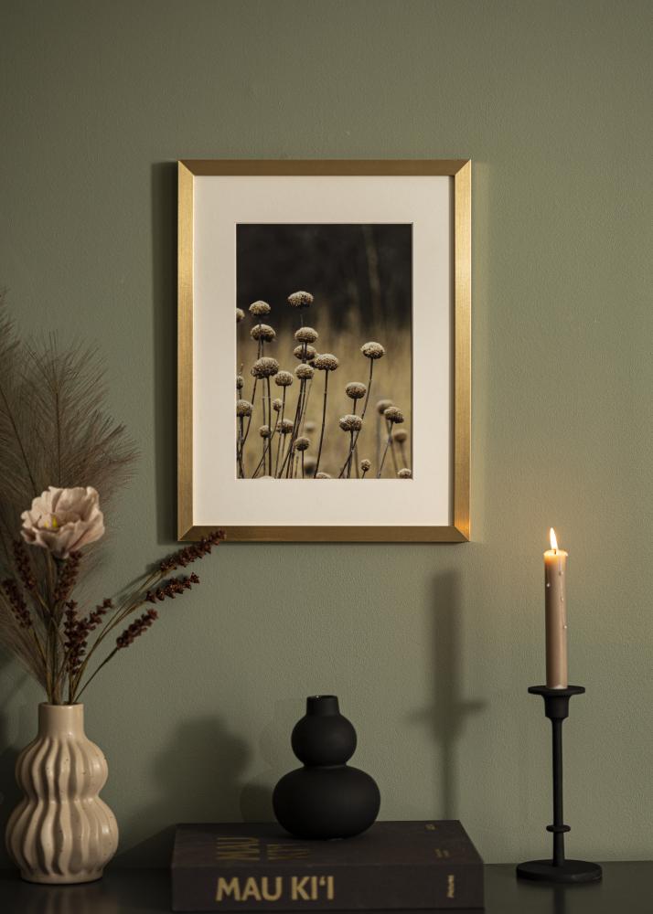 Ram Selection Akrylglas Guld 30x40 cm