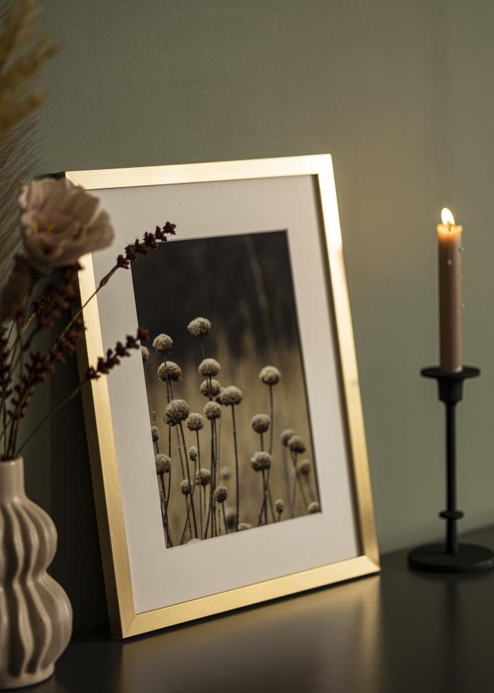 Ram Selection Akrylglas Guld 30x40 cm