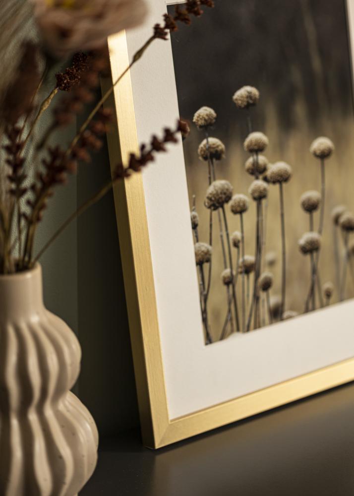 Ram Selection Akrylglas Guld 30x40 cm