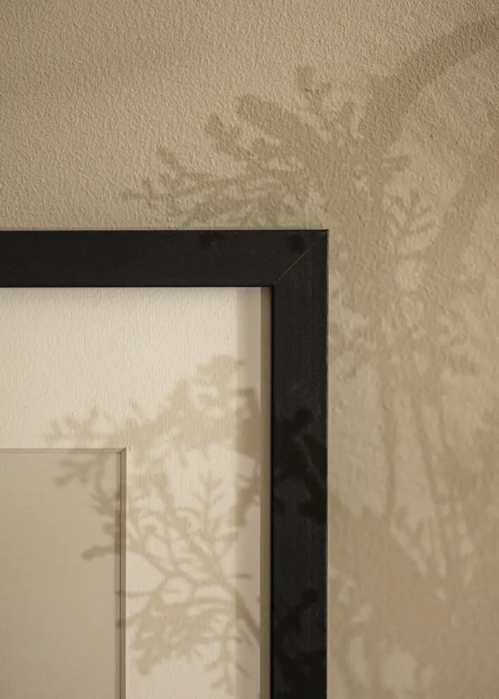 Ram Selection Akrylglas Svart 60x70 cm