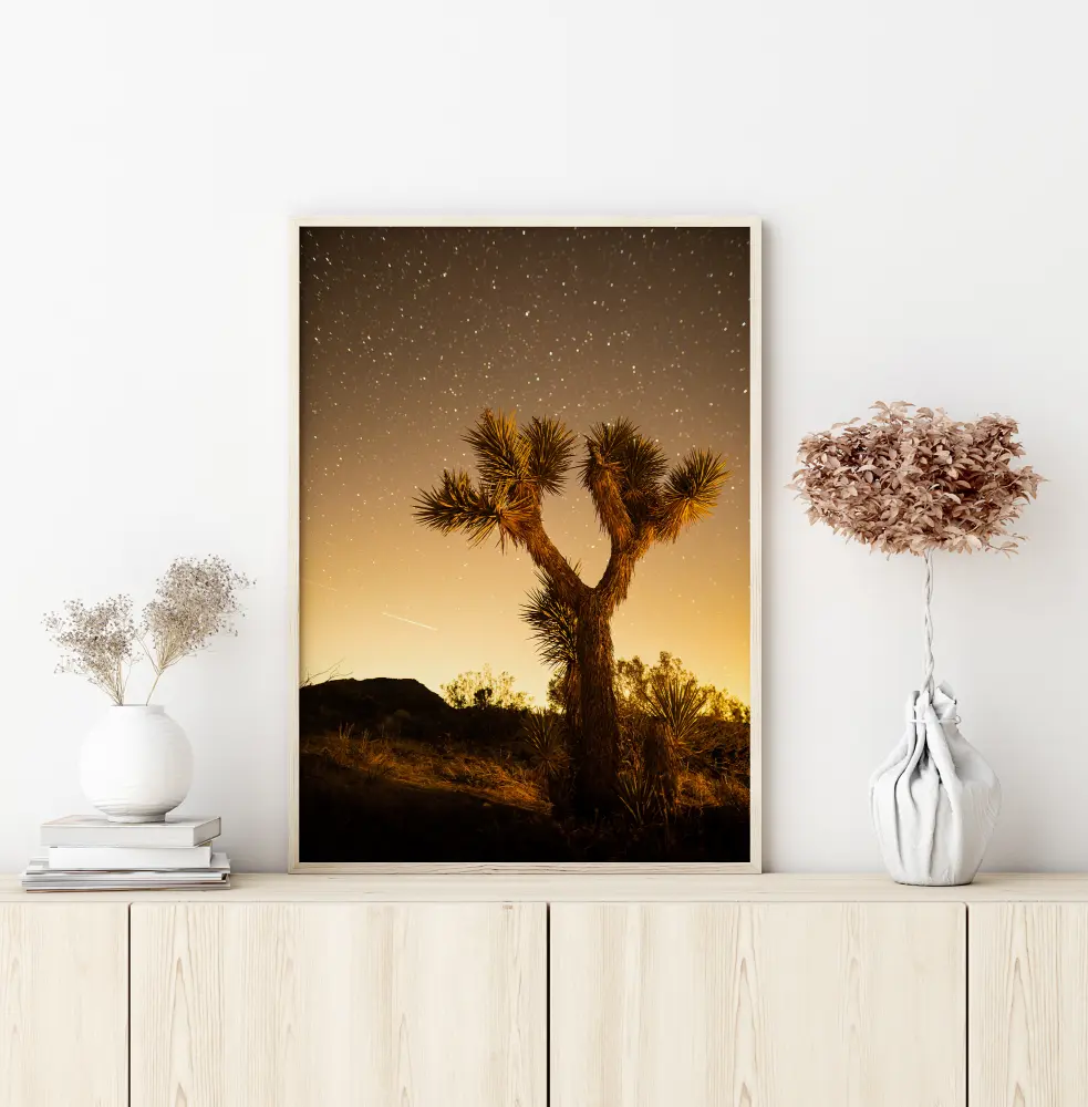 Shooting Stars Poster