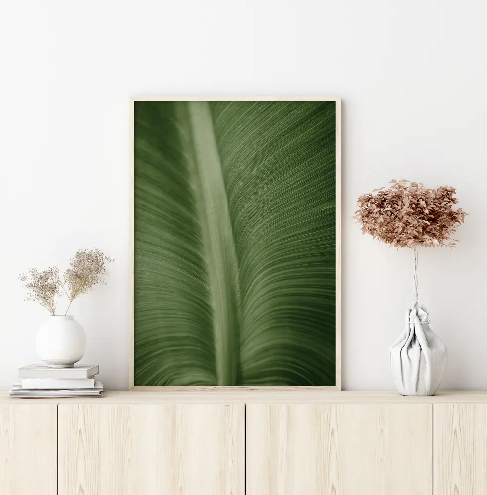 Structure Of Leaves Poster