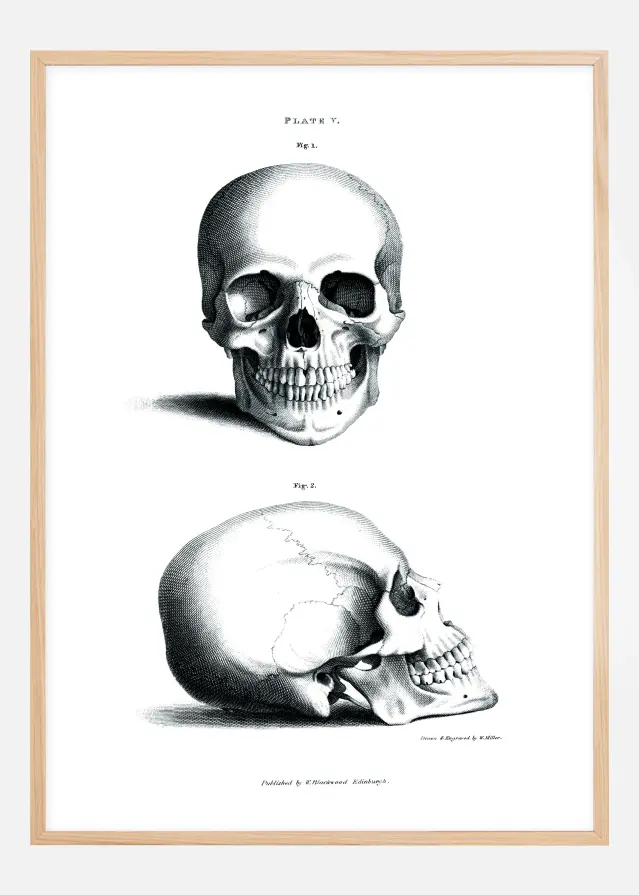 Skolskalle 1800-tal Poster