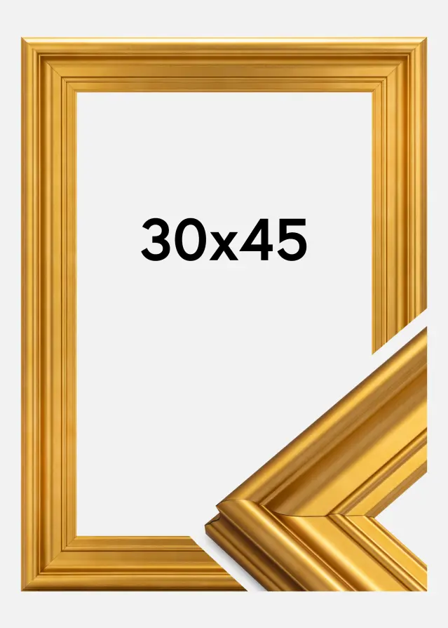 Ram Mora Premium Guld 30x45 cm