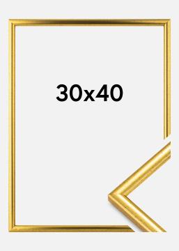 Ram Newline Guld 30x40 cm