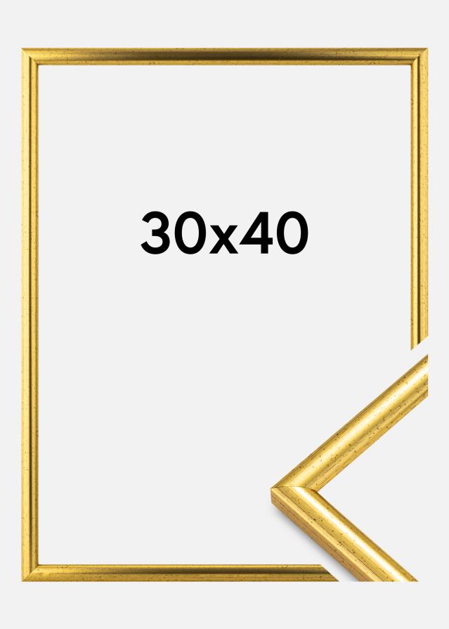 Ram Newline Guld 30x40 cm