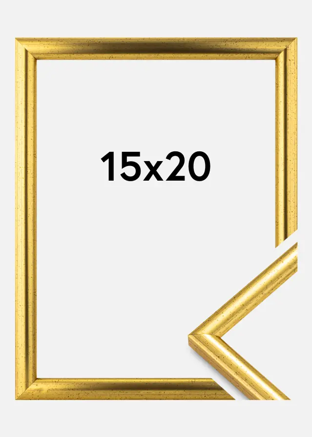 Ram Newline Guld 15x20 cm