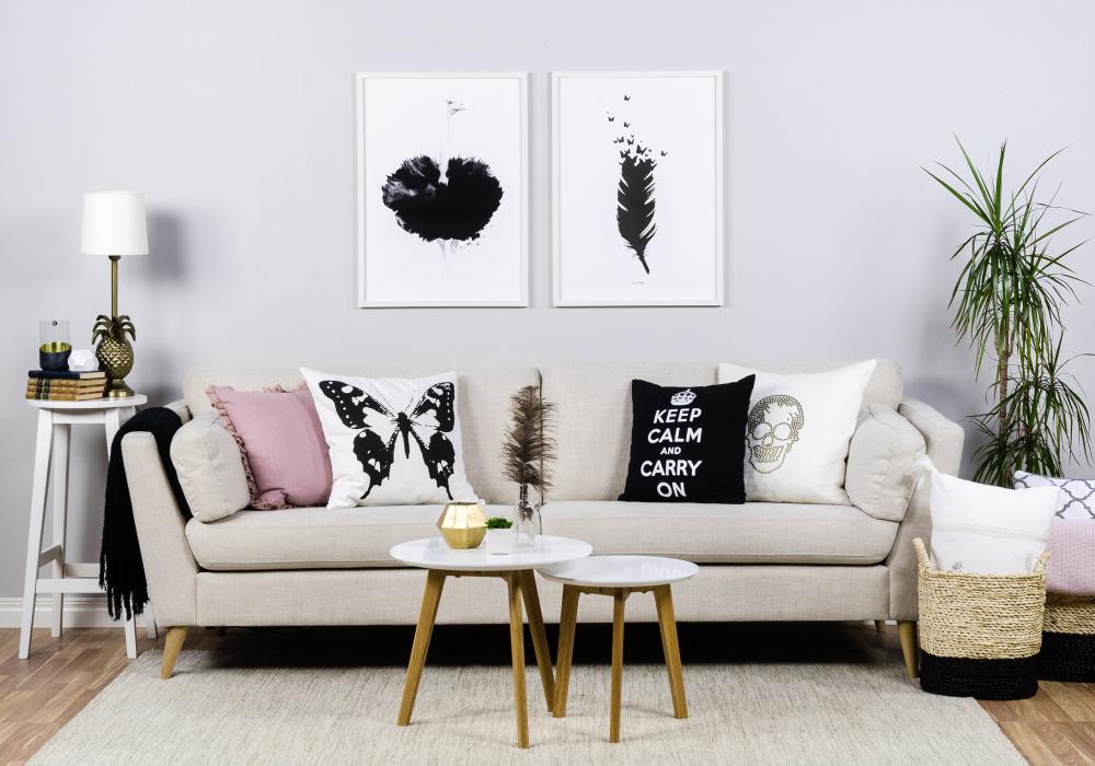 Fjer 1.0 Svartvit Poster